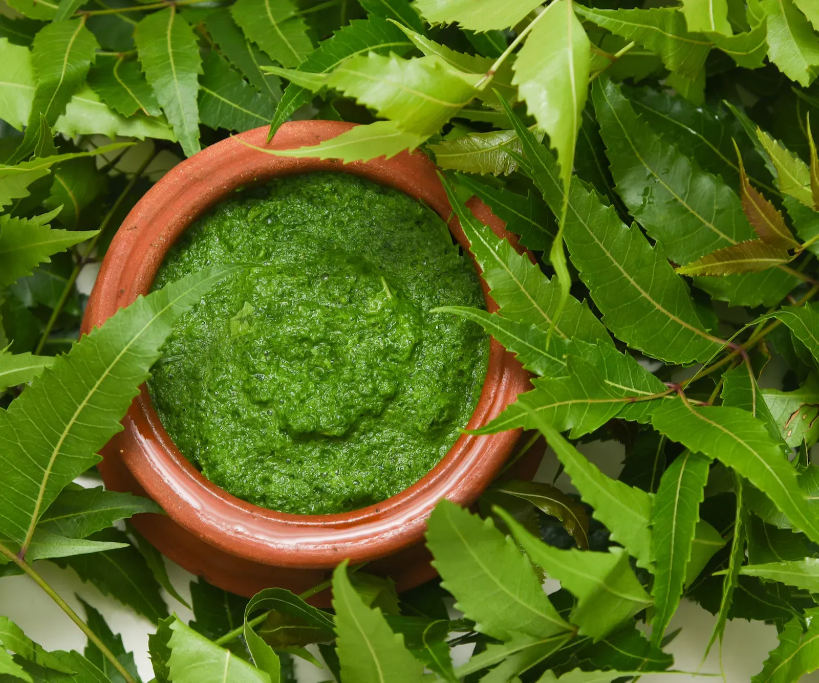 Neem